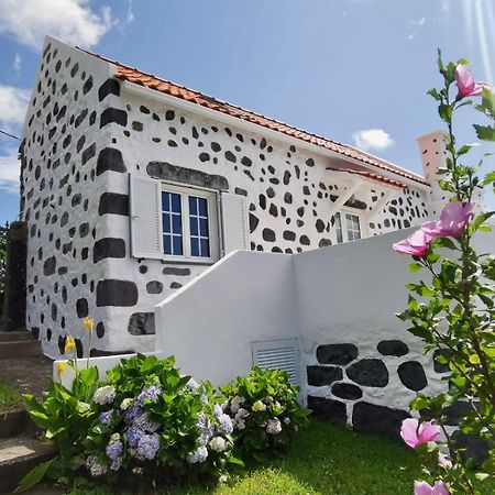 Lomba  Vivenda Flores - Casa Hortensia מראה חיצוני תמונה