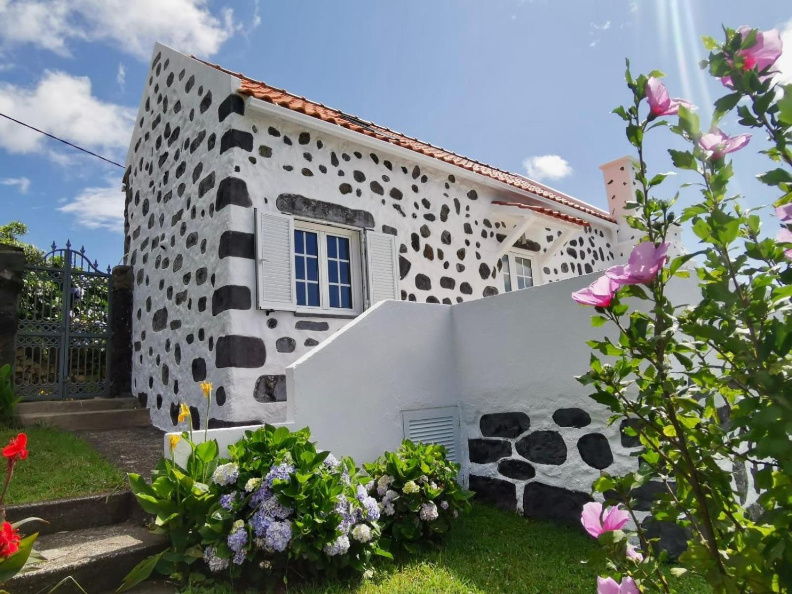 Lomba  Vivenda Flores - Casa Hortensia מראה חיצוני תמונה
